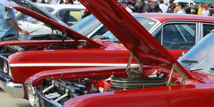 muscle-marques