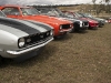 DBourke2450