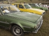 DBourke2520