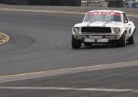 D.Bourke_4198